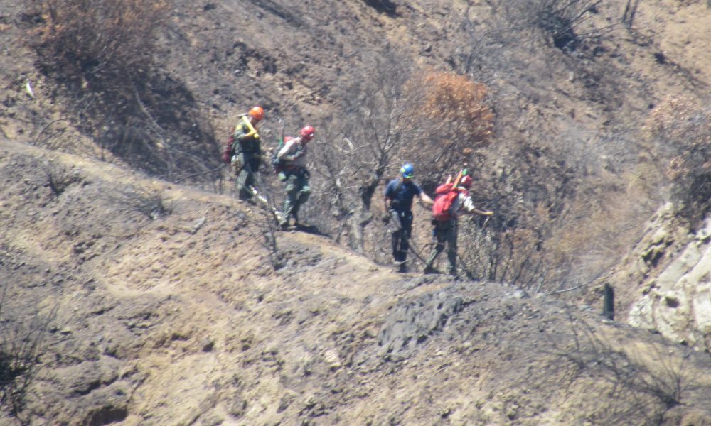 Members of the San Dimas Search and Rescue Team traverse a steep hillside near Morris Dam above Azusa July 8. photo by Aaron Castrejon.
