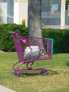 A propane tank and silver tool were found unattended in a shopping cart on Route 66.